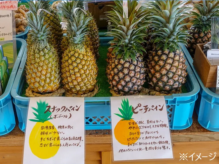 白保日曜市