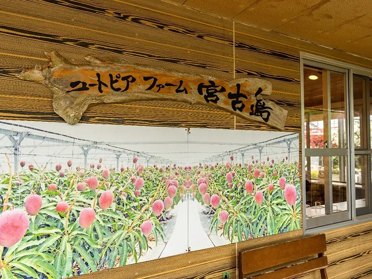 ユートピアファーム宮古島
