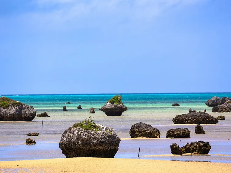 佐和田の浜