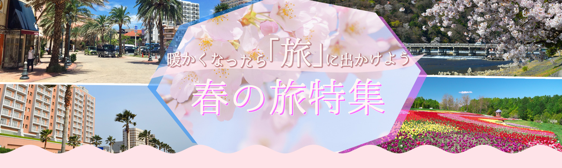 暖かくなったら旅に出かけよう！春の旅特集