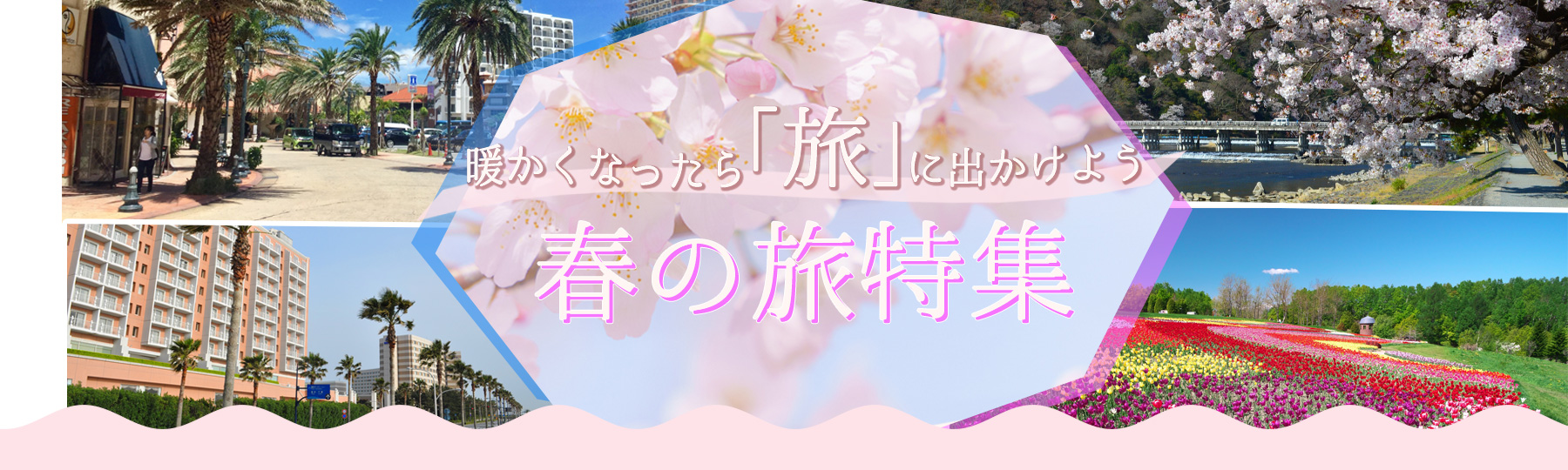 暖かくなったら旅に出かけよう！春の旅特集
