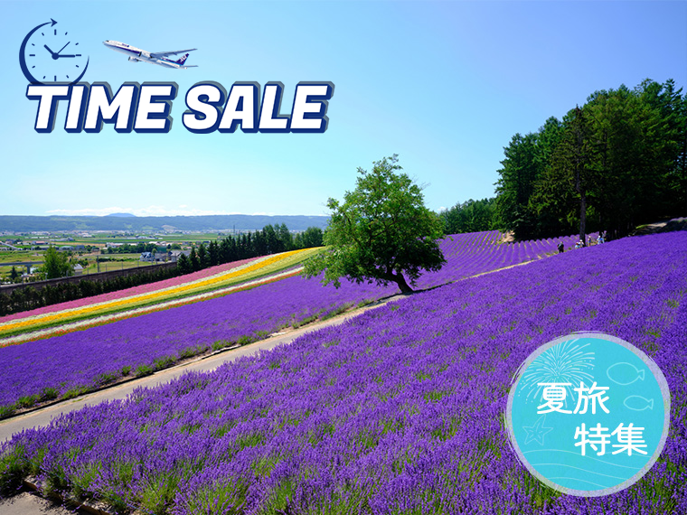夏旅特集!北海道フリープラン