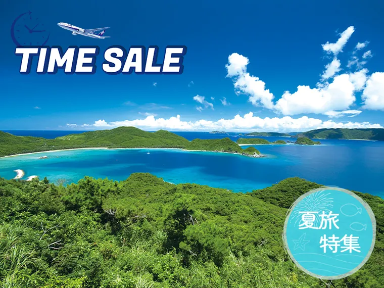 夏旅特集!沖縄本島フリープラン!