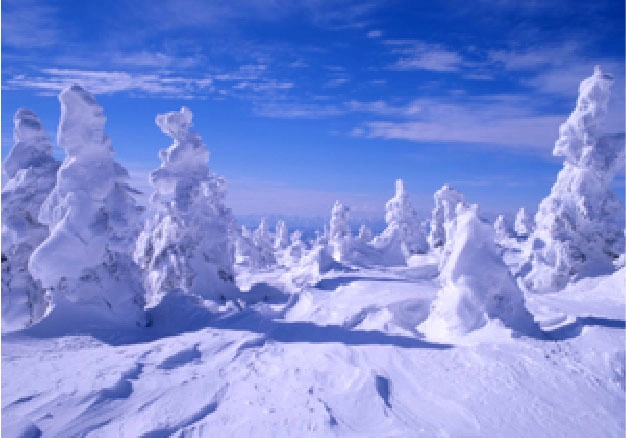 山形県 蔵王 樹氷