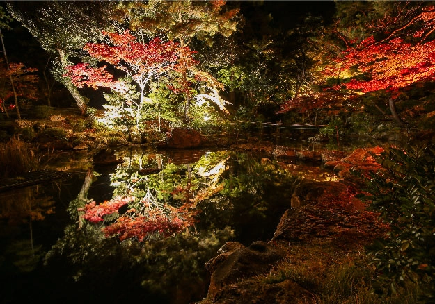 新潟県