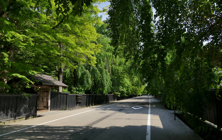 角館武家屋敷通り