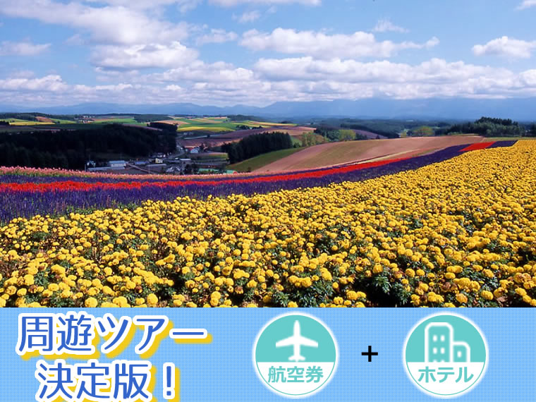 【5~11月出発】周遊ツアー決定版!ANAで行く北海道!選べるフライト&ホテル・中部発 4泊5日