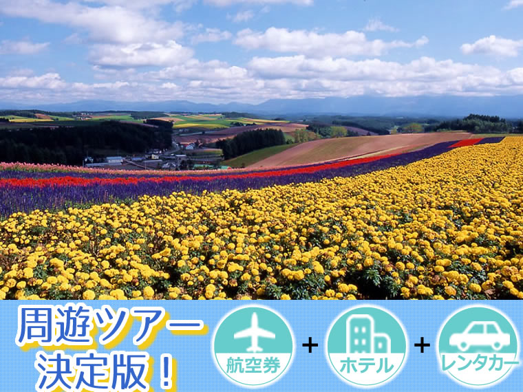 【5~11月出発】周遊ツアー決定版!ANA・AIR DOで行く北海道!選べるフライト&ホテル・レンタカー付・九州発 2泊3日