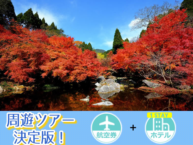 【5~11月出発】周遊ツアー決定版!ANAで行く九州!選べるフライト&ホテル(1泊付)・関西発 1泊2日