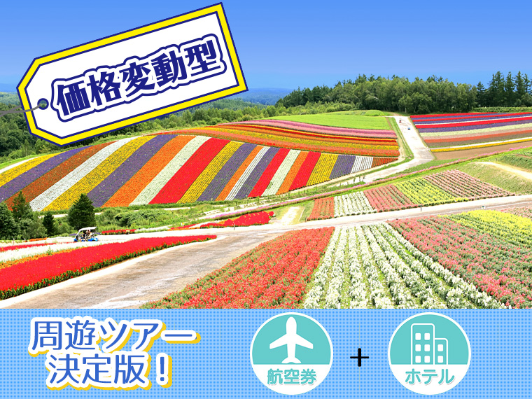 【Web予約限定】ANAで行く北海道フリーチョイス!関東発 2泊3日