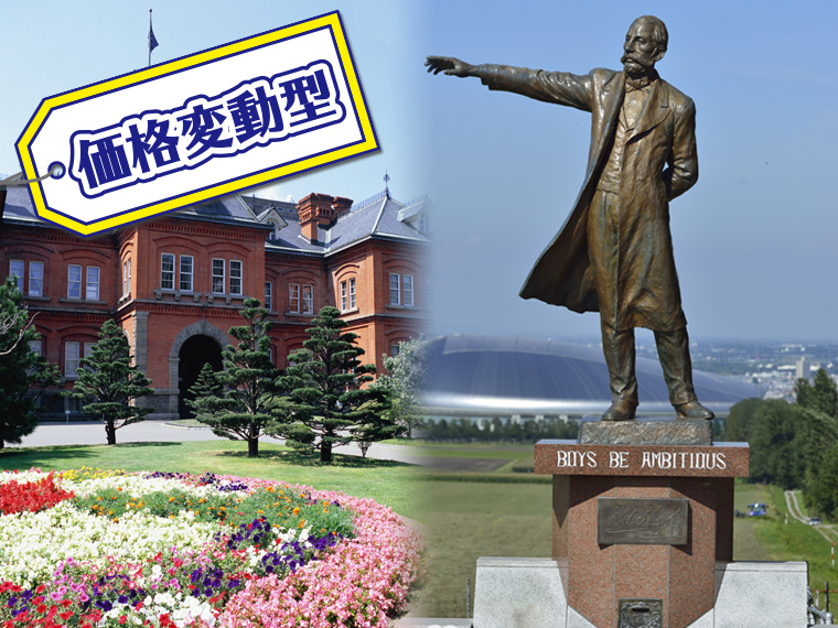 【Web予約限定】ANAで行く!選べる札幌市内ホテル・関東発 1泊2日