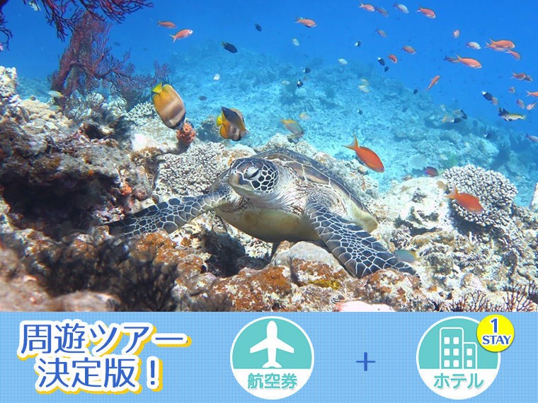 【変動】宮古島フリーチョイス!ホテル1泊付・関東発 1泊3日 延泊OK!