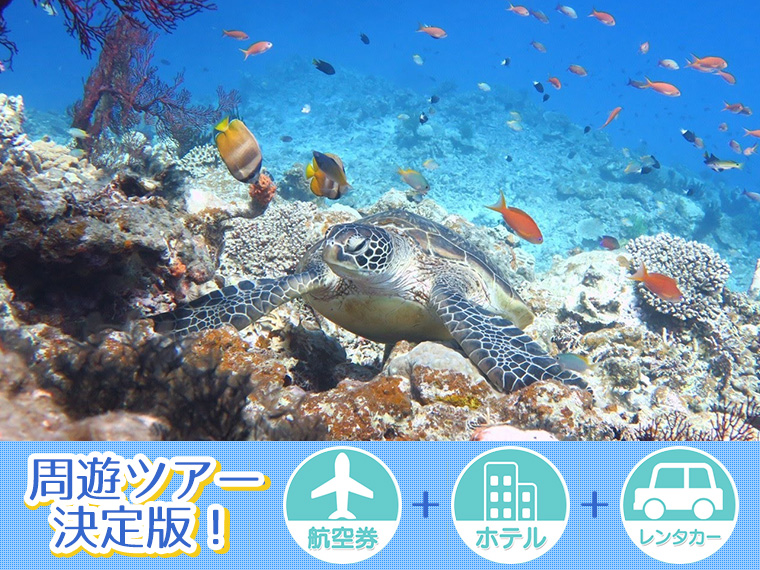 【変動】宮古島フリーチョイス!レンタカー付・関東発 3泊4日