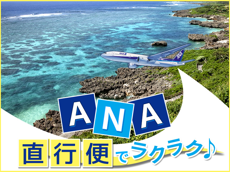 ツアー詳細【宮古】宮古直行(APIT・2～5)2021