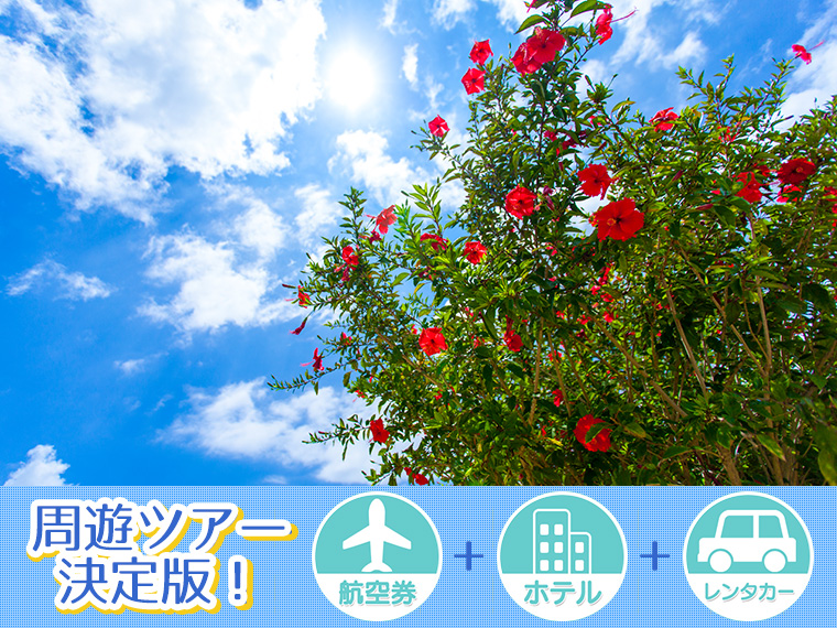 ワタベウェディングスペシャル 宮古島フリーチョイス！レンタカー付・関東発（2025年度版） 2泊3日