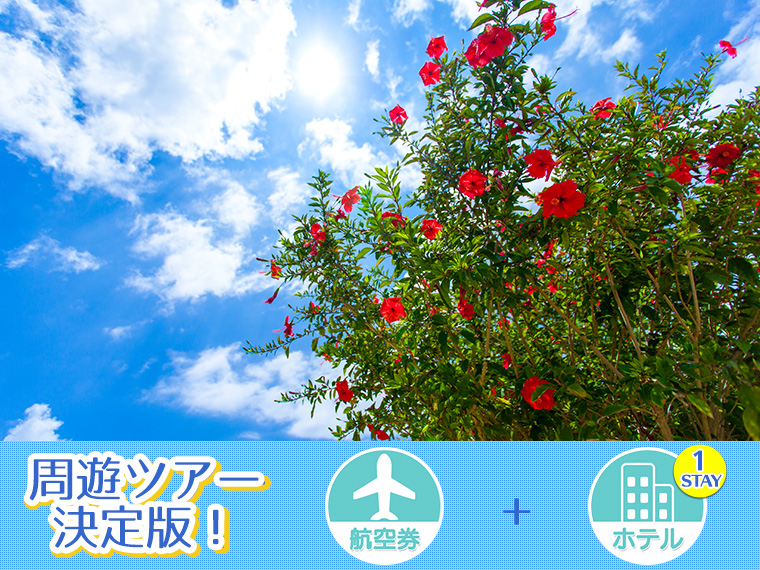 固定 宮古島フリーチョイス ホテル1泊付 関西発 1泊2日 ツアーコード 1012 格安旅行 格安ツアー情報 固定 宮古島フリーチョイス ホテル1泊付 関西発 1泊2日 ツアーコード 1012 格安旅行 格安ツアー情報