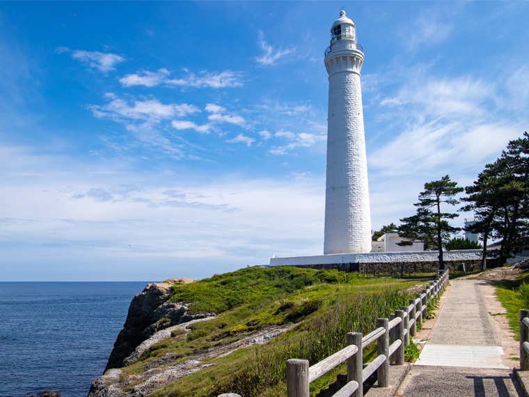 島根フリーチョイス