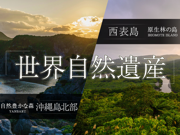 世界遺産　やんばる・西表