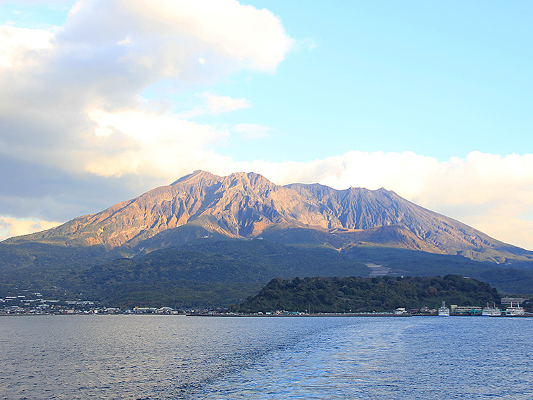 鹿児島フリーチョイス