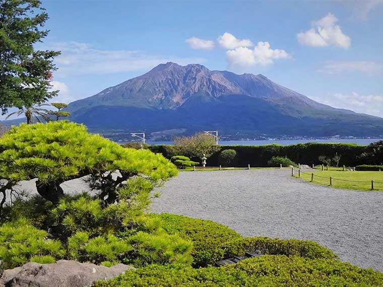 鹿児島フリーチョイス