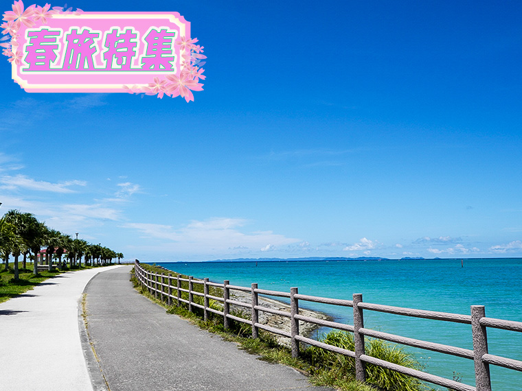 春旅特集！沖縄本島フリーチョイス！心躍る春の旅へ出かけよう♪