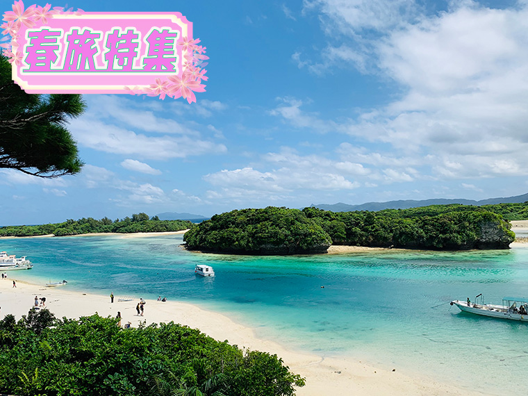 春旅特集！石垣島フリーチョイス！心躍る春の旅へ出かけよう♪