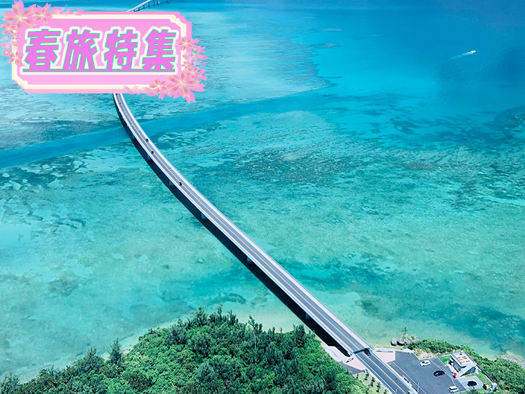 春旅特集！宮古島フリーチョイス！心躍る春の旅へ出かけよう♪