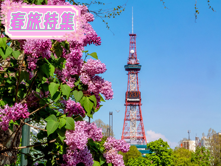 春旅特集！札幌フリーチョイス！心躍る春の旅へ出かけよう♪
