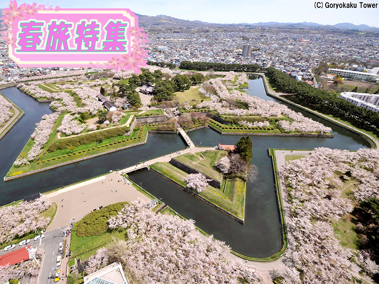春旅特集！函館フリーチョイス！心躍る春の旅へ出かけよう♪