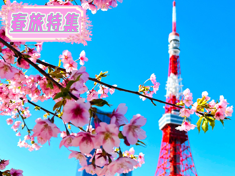 春旅特集！東京フリーチョイス！心躍る春の旅へ出かけよう♪