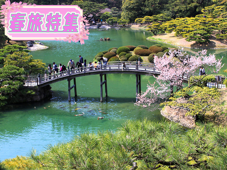 春旅特集！四国フリーチョイス（レンタカー付）！心躍る春の旅へ出かけよう♪