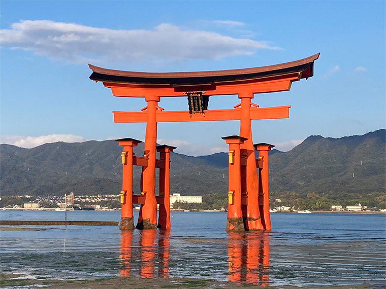 広島・岡山・山口フリーチョイス！