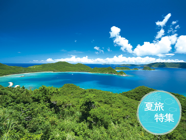 夏旅特集！沖縄本島フリープラン