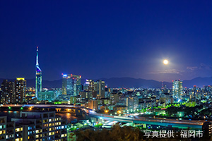 シティ525