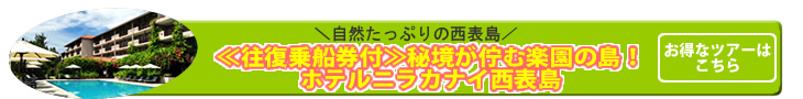 ニラカナイiriomote