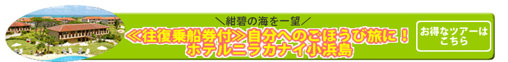 ニラカナイiriomote