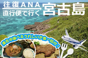 直行便でらくらく&選べるホテル